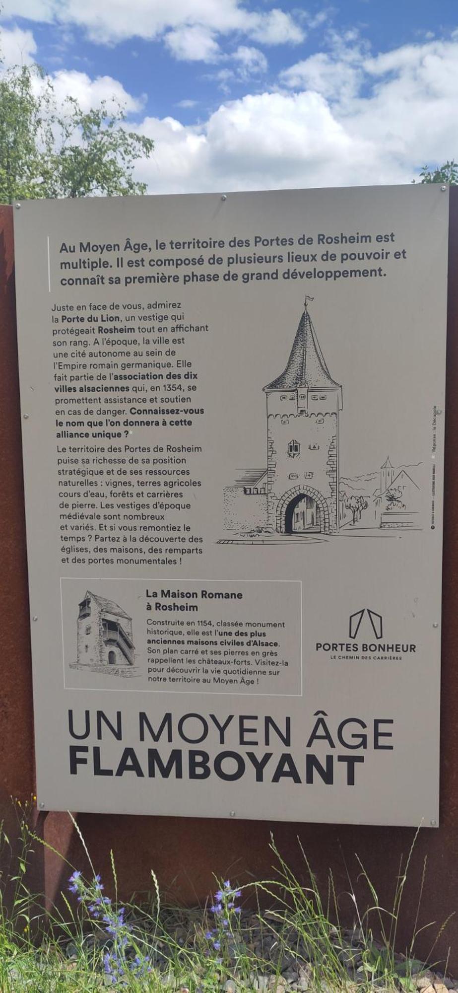 La Maisonnette Bleue, Eco-Logis Equipe De Toilettes Seches Rosheim Exteriör bild